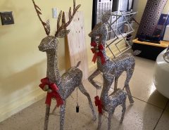 Christmas reigndeer lights up The Villages Florida
