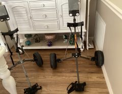 Push golf carts The Villages Florida