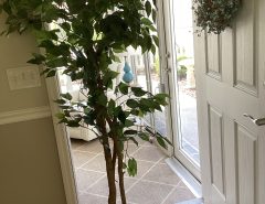 Indoor decoration Tree The Villages Florida