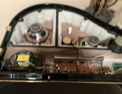 Suzuki piano The Villages Florida