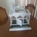 Vintage Style Birdcage The Villages Florida