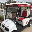 2017 electric Club Car golf cart The Villages Florida