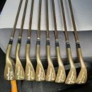 LADIES GOLF IRON SET The Villages Florida