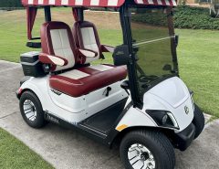 2020 Yamaha Quietech The Villages Florida