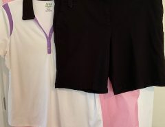 Ladies golf top and matching shorts….Izod XL top, size 16 Izod pants, worn little… set for $30. The Villages Florida