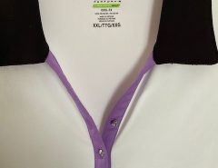 Ladies golf top and matching shorts….Izod XL top, size 16 pants, worn little… set for $30. The Villages Florida