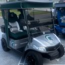 Custom Golf Cart graphics The Villages Florida