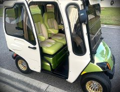 2019 Yamaha QuieTech Drive2 EFI Gas Golf Cart with Curtis Cab Enclosure: Like New Condition The Villages Florida