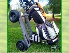 Golf Walk and Ride Trolley The Villages Florida
