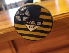 Senior Softball Bat The Villages Florida