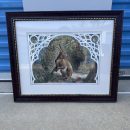 Beautiful bunny photo The Villages Florida