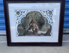 Beautiful bunny photo The Villages Florida