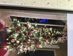 Christmas tree The Villages Florida