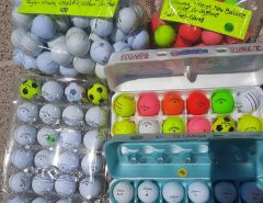 Golf and More Garage Sale- Monday, June 16th  11:30-2:30 The Villages Florida