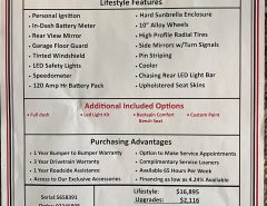 25 Hours EZGO ELiTE The Villages Florida