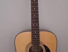 Fender Acoustic Guitar The Villages Florida
