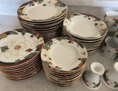China Dishes The Villages Florida