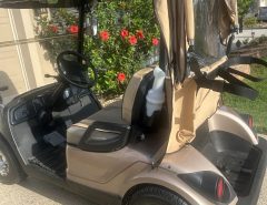 2010 Yamaha Gas The Villages Florida