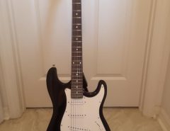 ZENY Electric Guitar The Villages Florida
