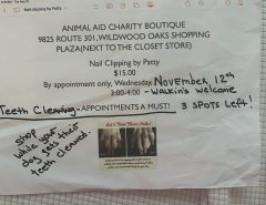 ANIMAL AID CHARITY BOUTIQUE The Villages Florida