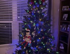 Christmas Tree The Villages Florida