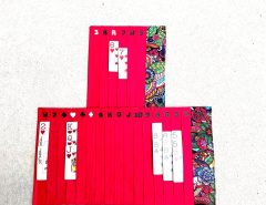 Samba, Queens, Jacks Card Organizer The Villages Florida