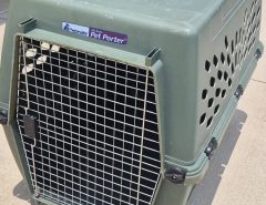 Petmate Pet Porter The Villages Florida