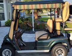 Star Lithium Golf Cart The Villages Florida
