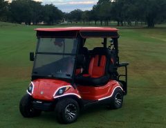 2014 EFI Yamaha Golf Cart The Villages Florida