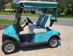 Custom 2024 EZ-Go Electric Golf Cart The Villages Florida