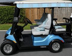 2018 4 seater The Villages Florida