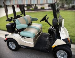 Yamaha QuieTech D2 EFI Gas Golf Cart: Excellent Condition – $7,995 The Villages Florida