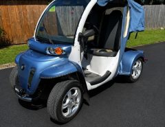 2008 GEM golf cart The Villages Florida