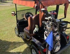 yamaha qt The Villages Florida