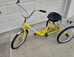 Sun Adult Trike for sale The Villages Florida