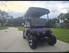 Yamaha Quietech EFI Gas ?? 231 hrs The Villages Florida
