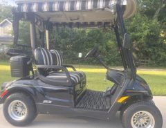 2014 Yamaha EFI Gas The Villages Florida