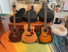 Acoustic Guitars for Sale The Villages Florida