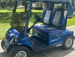 QUIET TECH YAMAHA GAS The Villages Florida