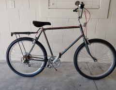 Schwinn Cruiser Bike The Villages Florida