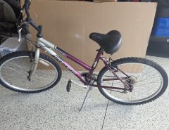 TREK 800 LADIES BIKE The Villages Florida