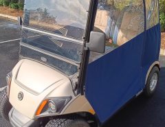 2018 Yamaha Drive 2 QuieTech EFI gas golf cart The Villages Florida