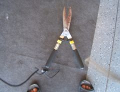 Craftsmen Shrub and Hedge Trimmer The Villages Florida