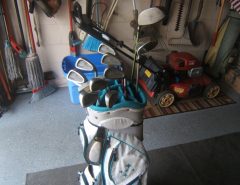 Ladies Golf Club Set The Villages Florida
