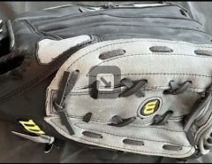 Wilson Softball Glove The Villages Florida