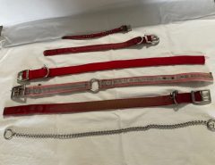 Selling 4 used dog collars and a 23” chain for dog training.  All 5 items reduced price to $10. The Villages Florida