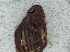 img4377