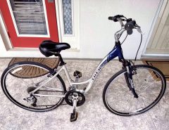 Two bicycles Giant & Trek The Villages Florida