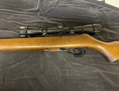 Ruger 10/22 Carbine .22 LR The Villages Florida
